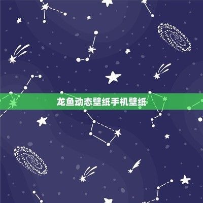 龍魚背景紙什么樣的好一點(龍魚背景紙定制服務推薦) 龍魚百科 第4張 龍魚背景紙什么樣的好一點(龍魚背景紙定制服務推薦) 龍魚背景紙什么樣的好一點(龍魚背景紙定制服務推薦) 龍魚百科 第4張
