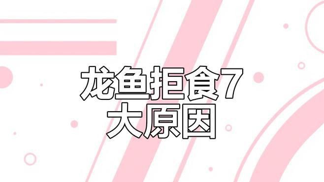 虎魚和龍魚在缸里亂竄不吃食咋回事