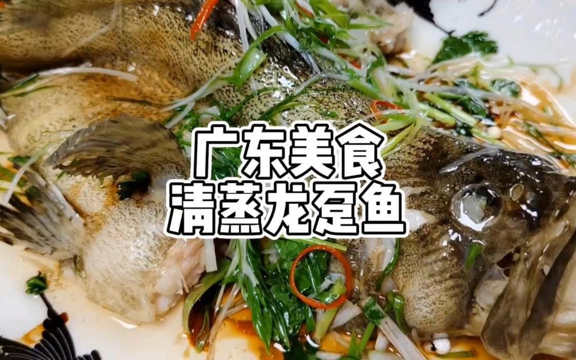 龍躉魚(yú)有哪些烹飪方法？