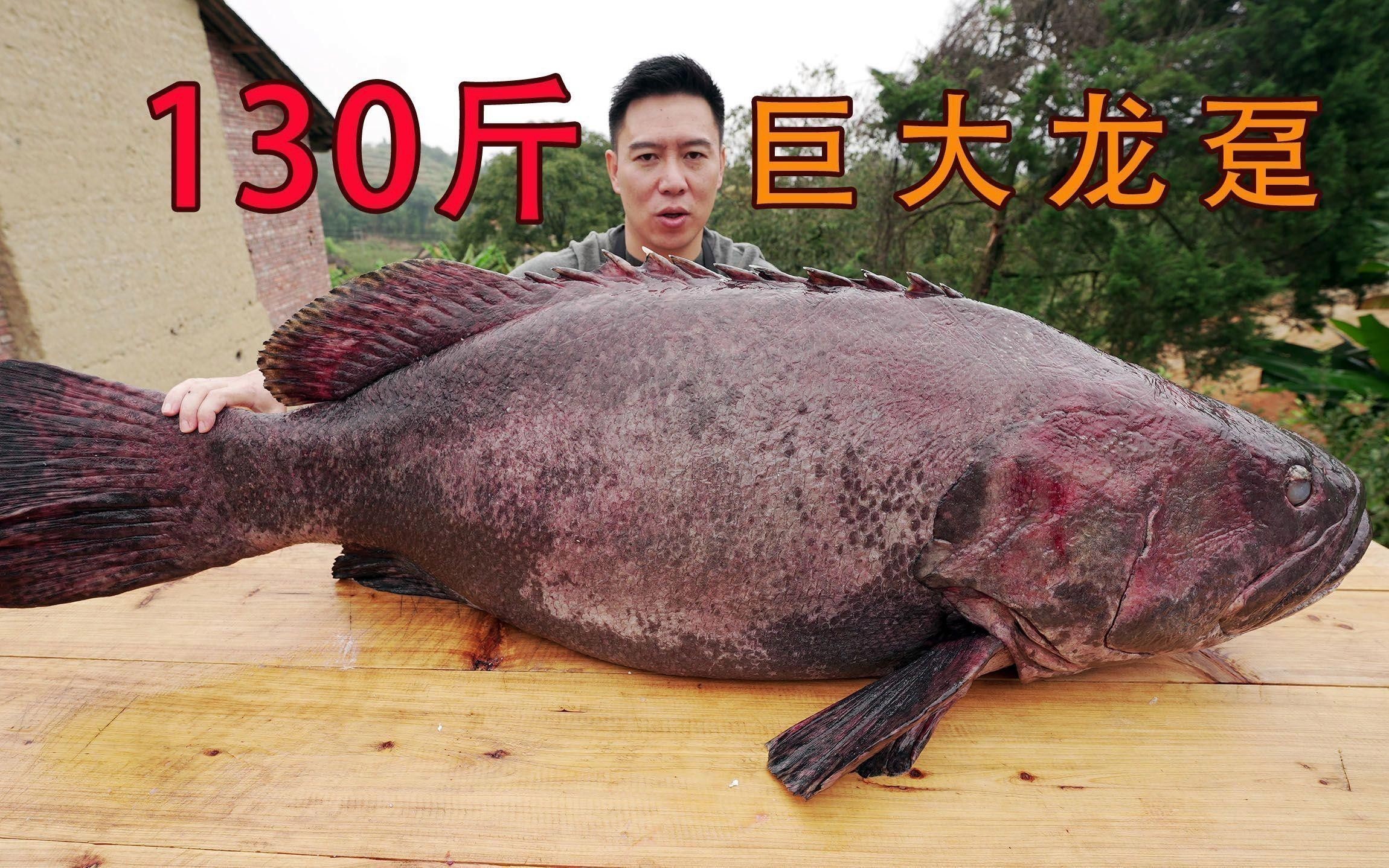 龍躉魚(yú)有哪些烹飪方法？