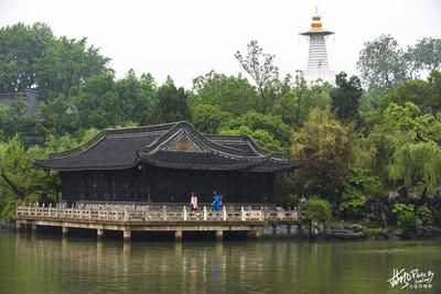 龍魚掉眼并不會導致失明，龍魚掉眼并不會導致失明嗎：龍魚掉眼會導致失明嗎？
