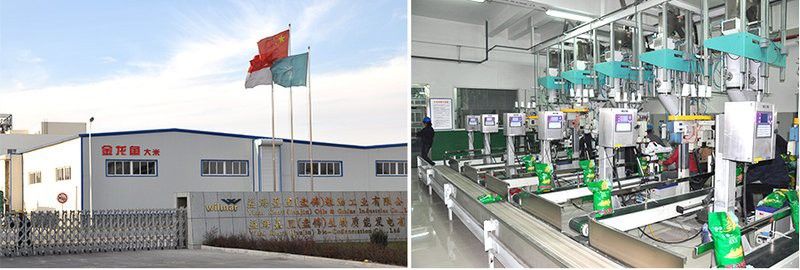 盤錦金龍魚豆油廠家地址