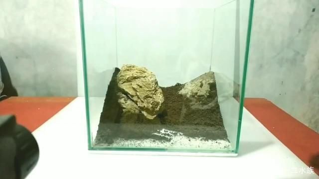 魚缸造景效果圖可愛，可愛的魚缸造景色彩搭配技巧3d打印增高架制作教程