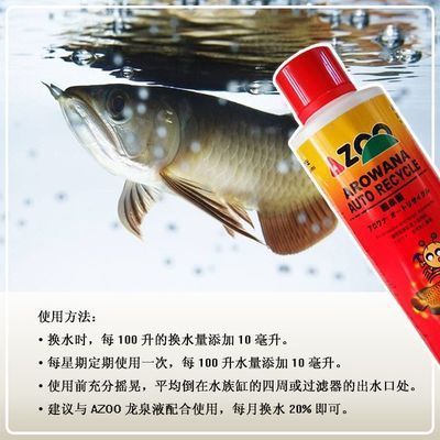 養龍魚必備藥劑是什么東西：養龍魚必備藥劑