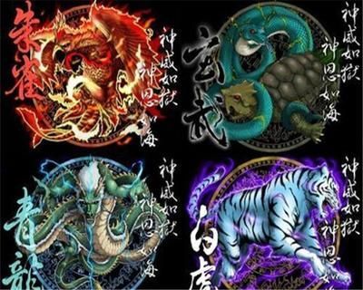 龍魚的配魚四大神獸（探討龍魚的四大神獸之前，我們需要了解龍魚的基本特征和文化背景）
