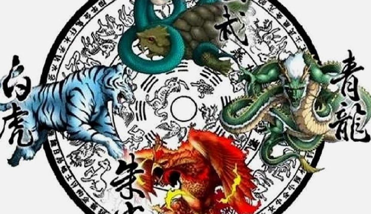 龍魚的配魚四大神獸（探討龍魚的四大神獸之前，我們需要了解龍魚的基本特征和文化背景）