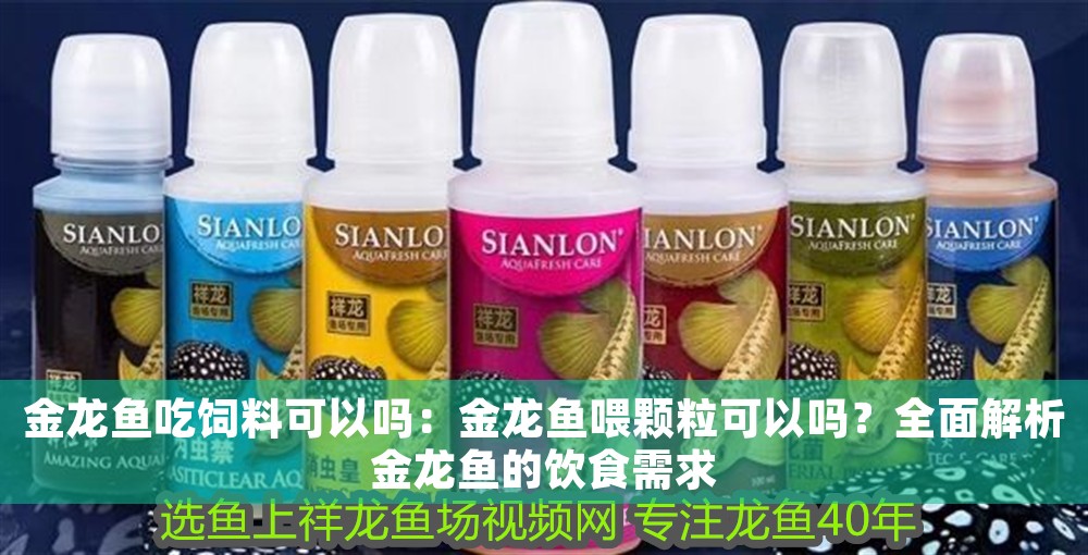 金龍魚吃飼料可以嗎：金龍魚喂顆粒可以嗎？全面解析金龍魚的飲食需求