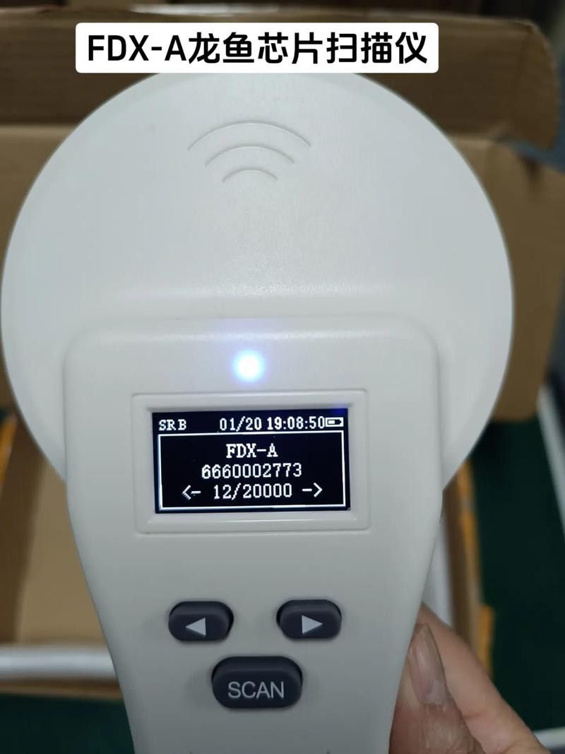 如何查詢祥龍漁場龍魚的芯片？