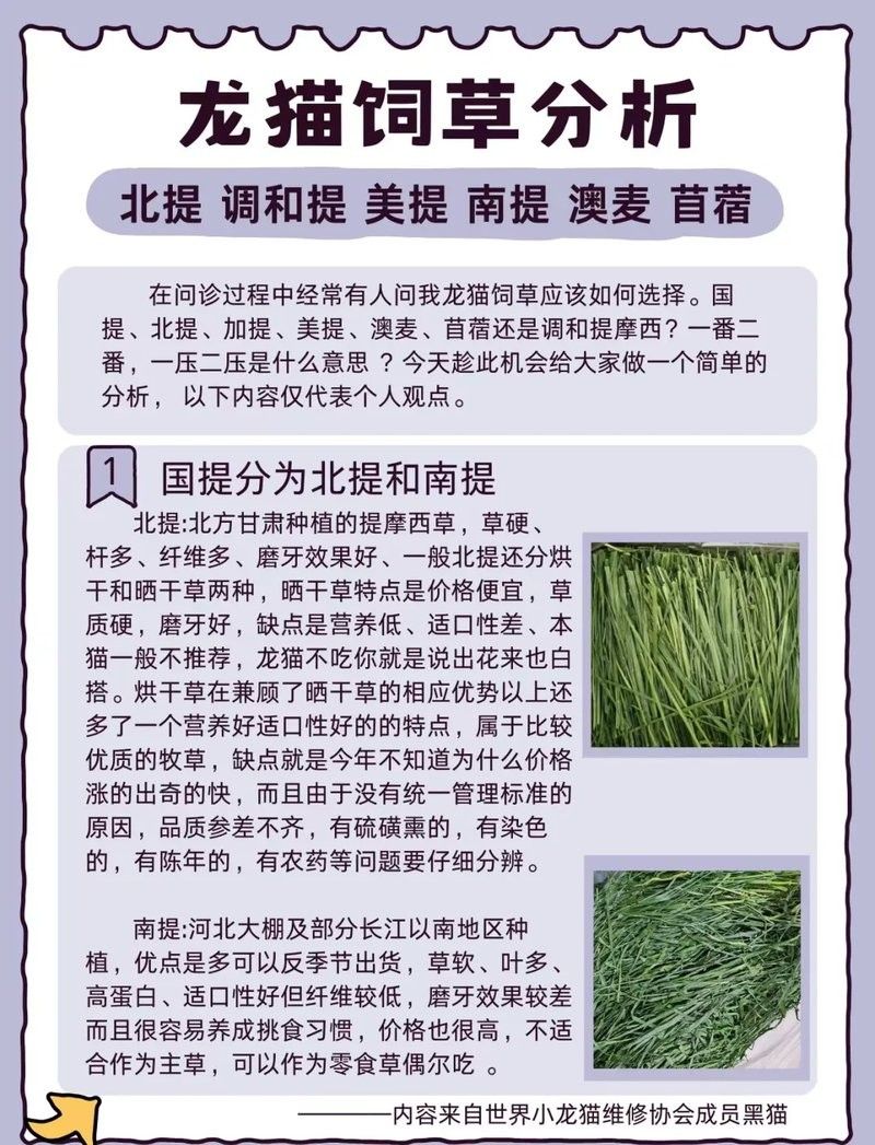 龍貓的食譜應該如何搭配？