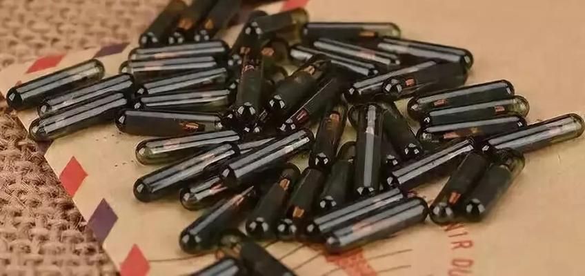 龍魚都有芯片嗎：關于龍魚芯片的一些詳細信息