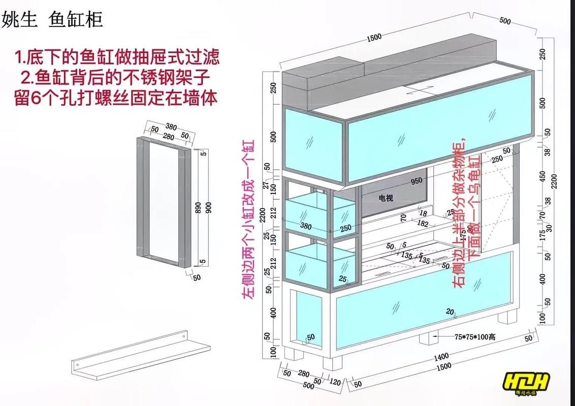 銀龍魚飼養方法及注意事項圖片