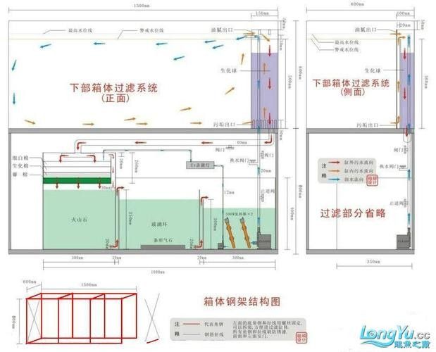 銀龍魚飼養方法及注意事項圖片