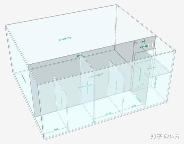 銀龍魚飼養方法及注意事項圖片