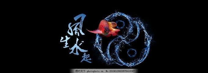 紅龍魚魚缸背景什么色好（養(yǎng)紅龍魚用什么顏色的背景好）