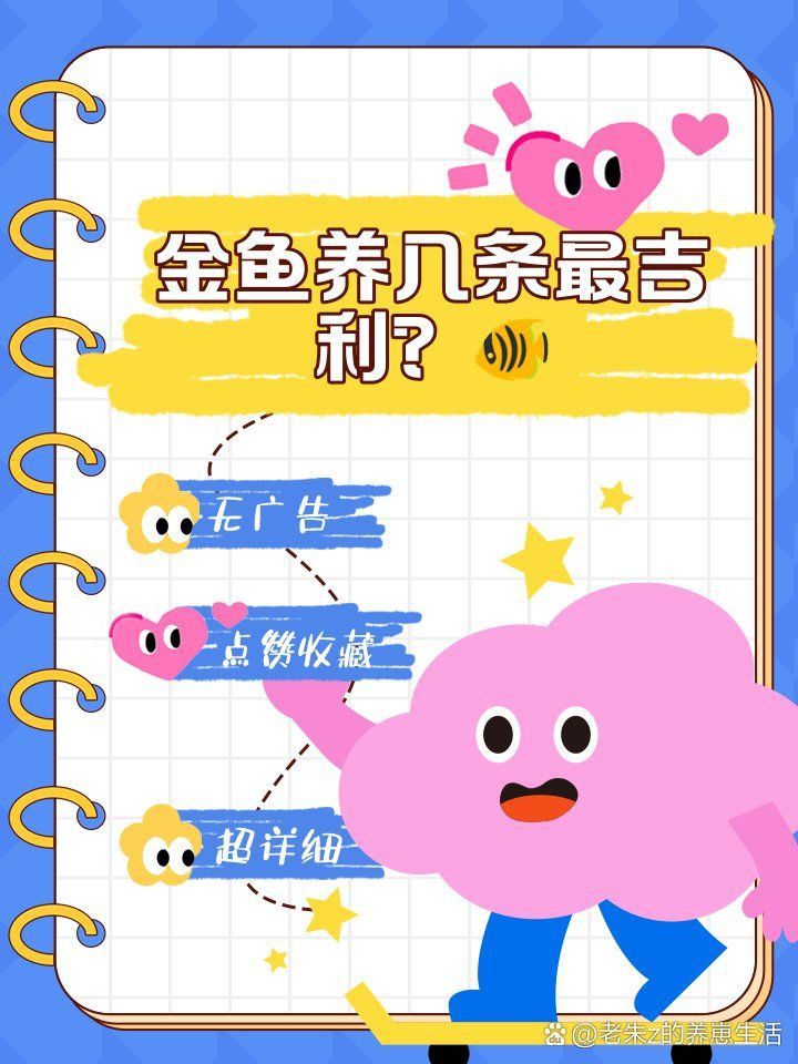 金魚養幾條最好最旺財