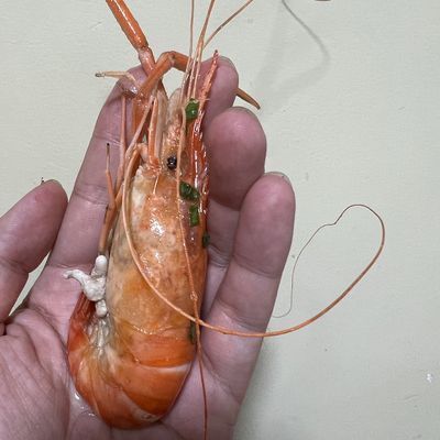 如何挑金龍魚飼料好壞：如何挑選金龍魚飼料