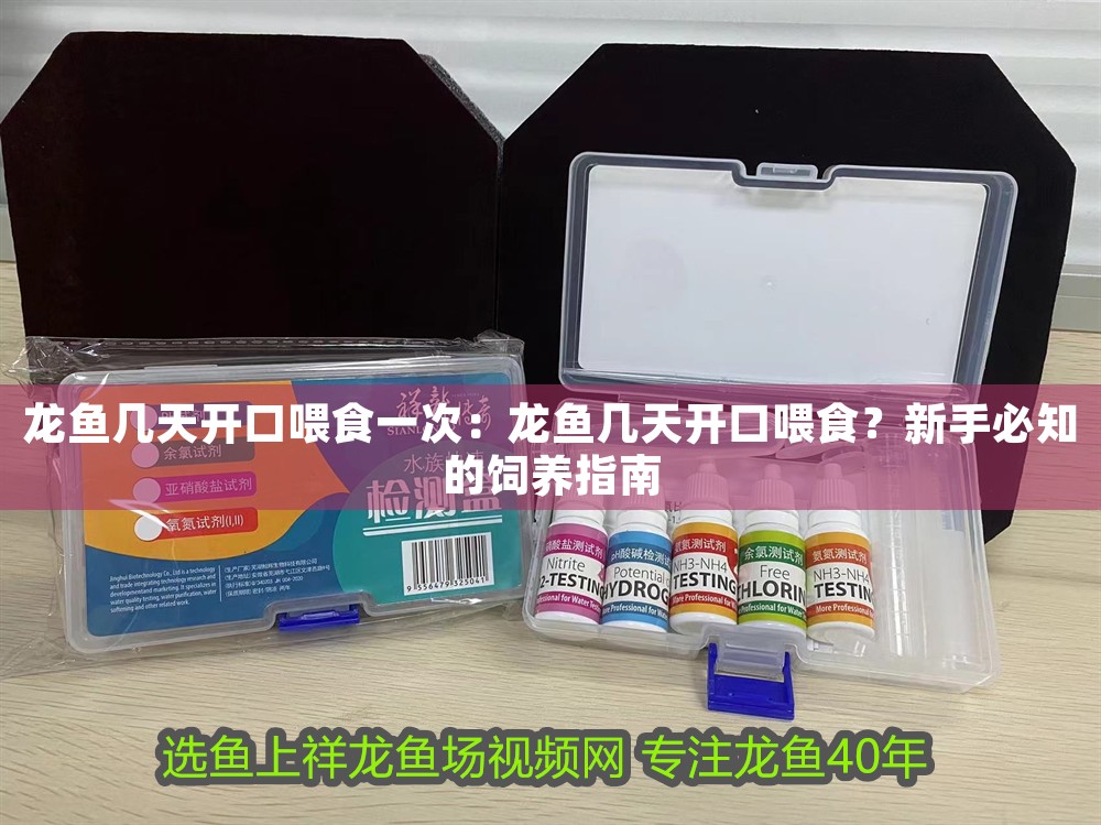 龍魚幾天開口喂食一次:龍魚幾天開口喂食?新手必知的飼養指南 龍魚百科 第1張 龍魚幾天開口喂食一次:龍魚幾天開口喂食?新手必知的飼養指南 龍魚幾天開口喂食一次:龍魚幾天開口喂食?新手必知的飼養指南 龍魚百科 第1張