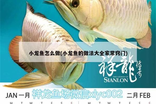 龍魚家常做法竅門：龍魚的家常做法竅門