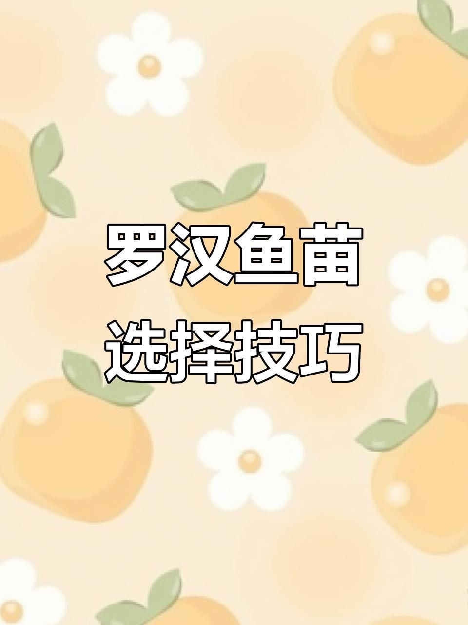 羅漢魚2厘米幼苗看起頭 羅漢魚2厘米幼苗看起頭 龍魚百科 第2張