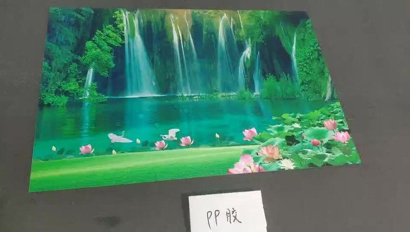金龍?jiān)嘏c哪些風(fēng)格最搭配？