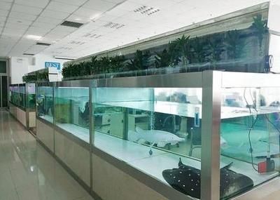 賣龍魚利潤大嗎多少，賣龍魚利潤空間較大，但具體利潤大小受多種因素影響