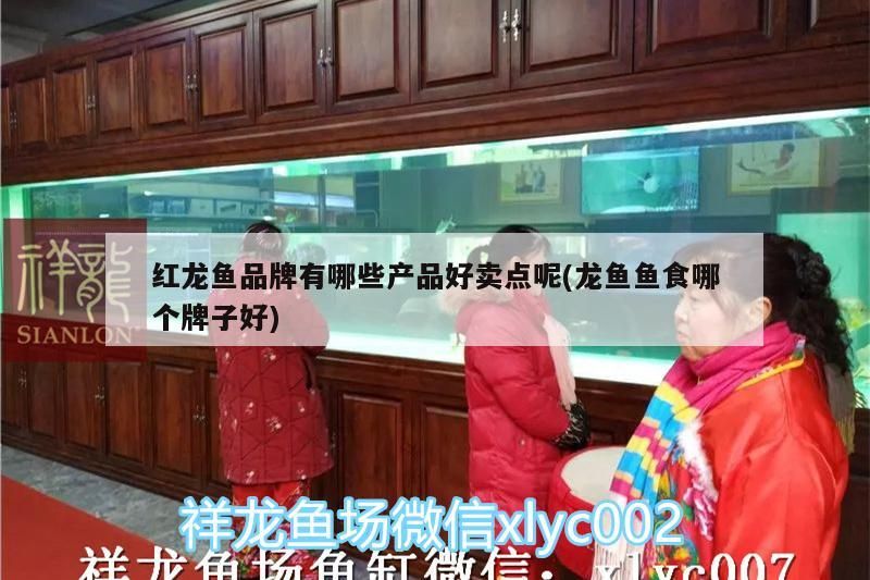 金龍魚和紅龍魚混養(yǎng)好處：金龍魚和紅龍魚養(yǎng)在一起會(huì)打架嗎?