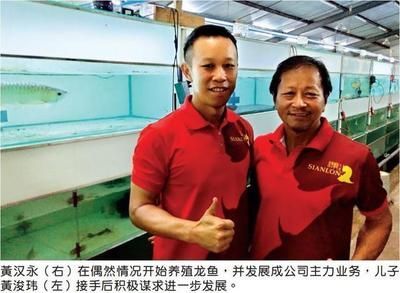 漁村龍魚繁殖場官網：漁村龍魚繁殖場官網如何獲取？