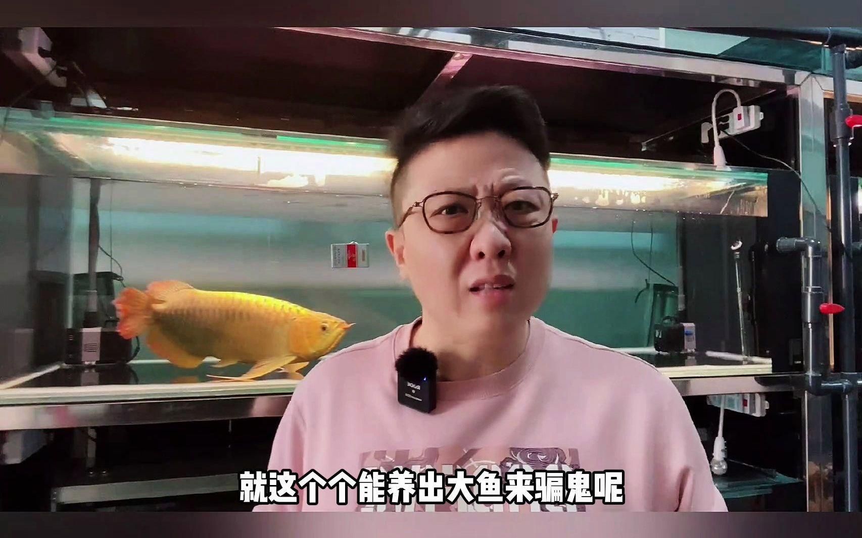 龍魚養(yǎng)不大什么原因