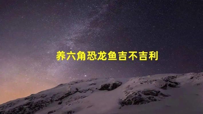 家里養(yǎng)六角恐龍魚好不好（六角恐龍魚與其他魚混養(yǎng)技巧，）