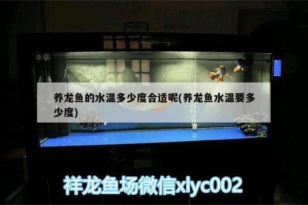 養龍魚的溫度和濕度