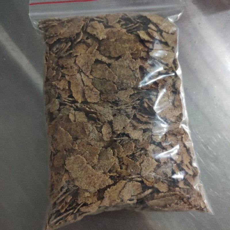 藍龍魚喂什么飼料（藍龍魚喂食量控制技巧藍龍魚活餌安全處理方法）