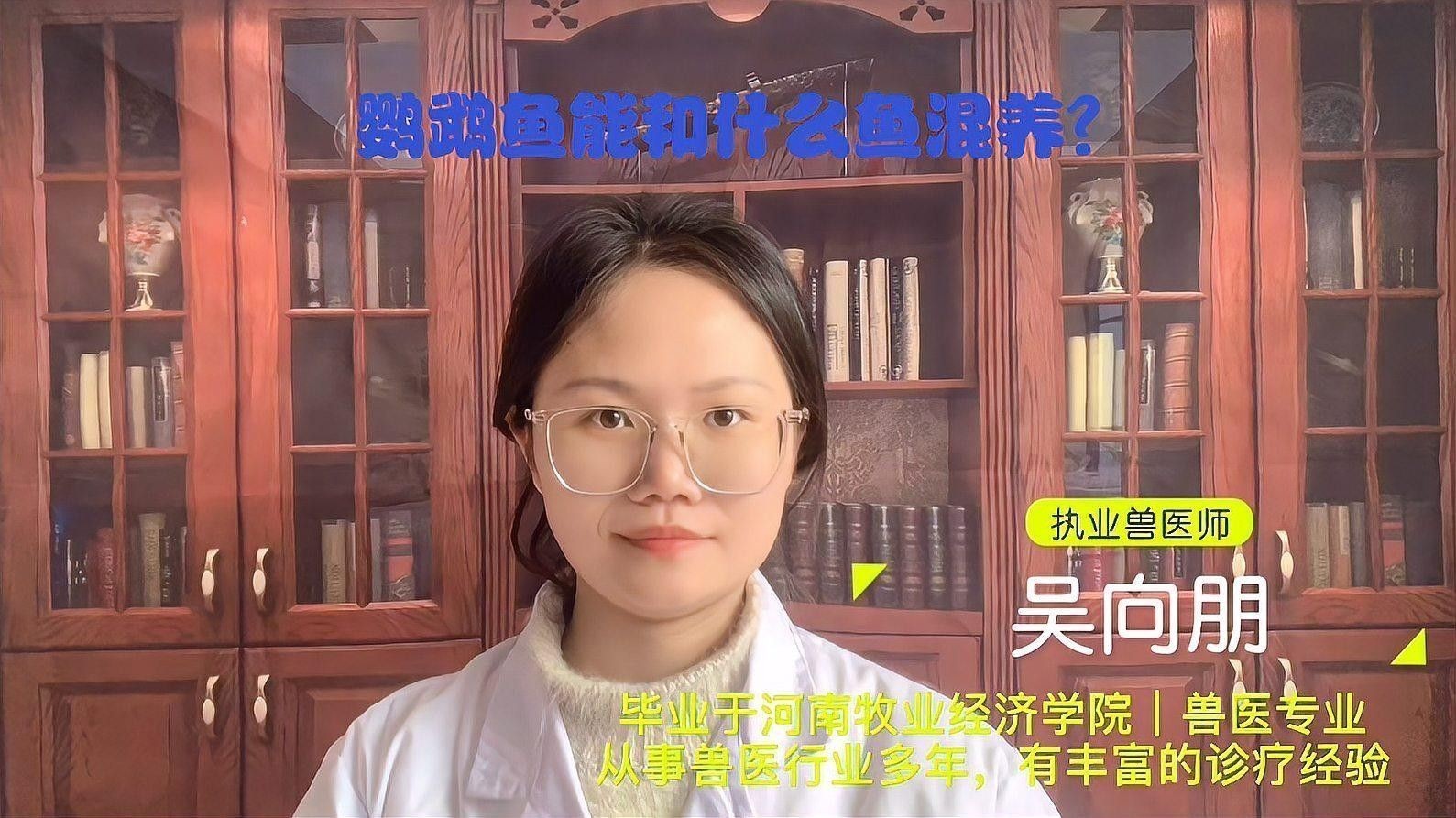 龍魚和鸚鵡混養技巧