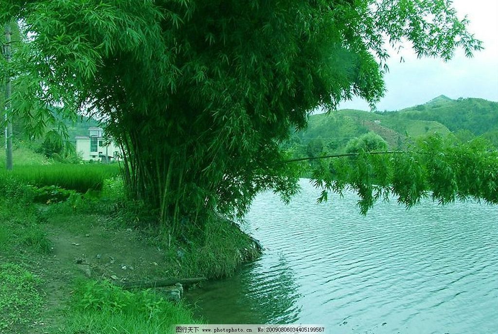 綠水對龍魚的影響有哪些，綠水對龍魚有哪些影響：綠水對龍魚的影響