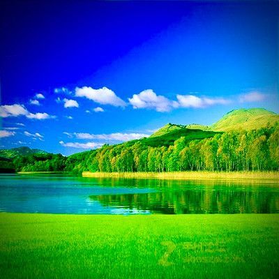 綠水對龍魚的影響有哪些，綠水對龍魚有哪些影響：綠水對龍魚的影響