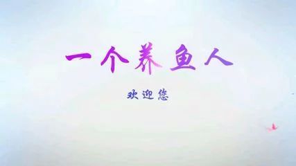 龍魚的作文300字三年級：小學(xué)三年級作文：我家的龍魚