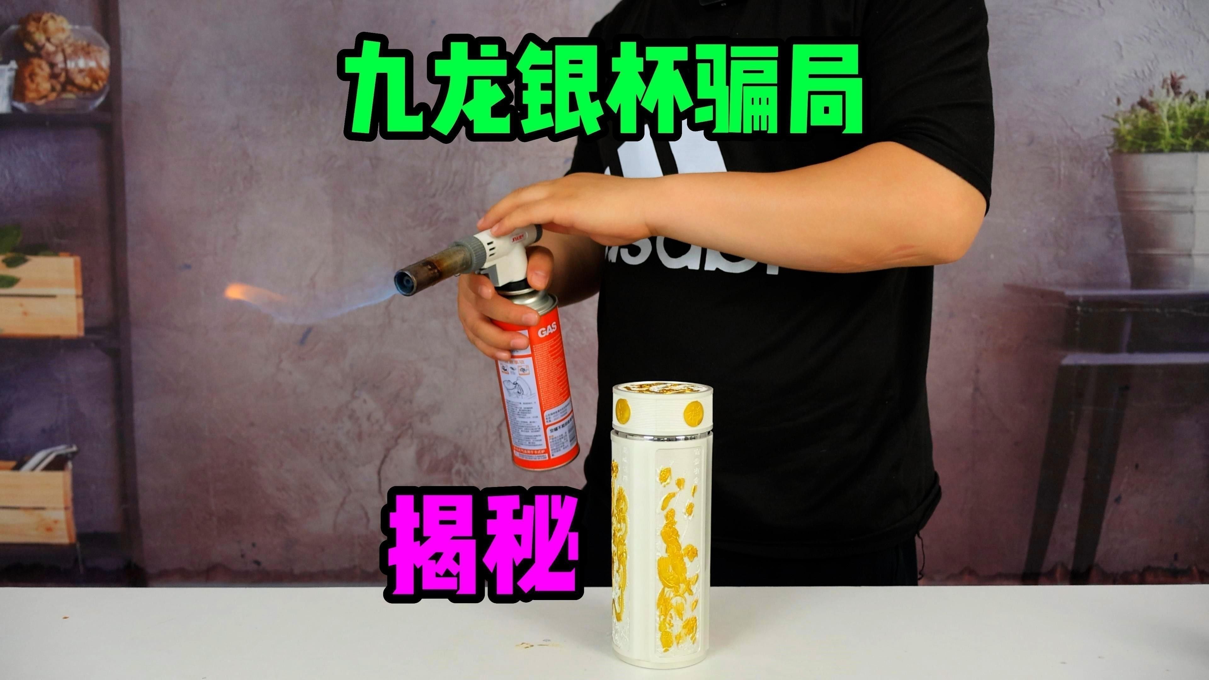 九龍銀杯的價格范圍是多少？