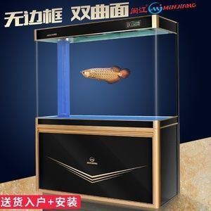 一米的魚缸能養龍魚嗎？：1米的魚缸能養龍魚嗎？
