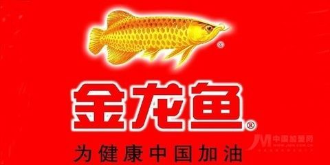 金龍魚資料簡介：金龍魚的市場價格，金龍魚的繁殖難點解析