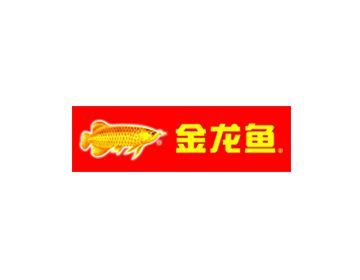 金龍魚資料簡介：金龍魚的市場價格，金龍魚的繁殖難點解析