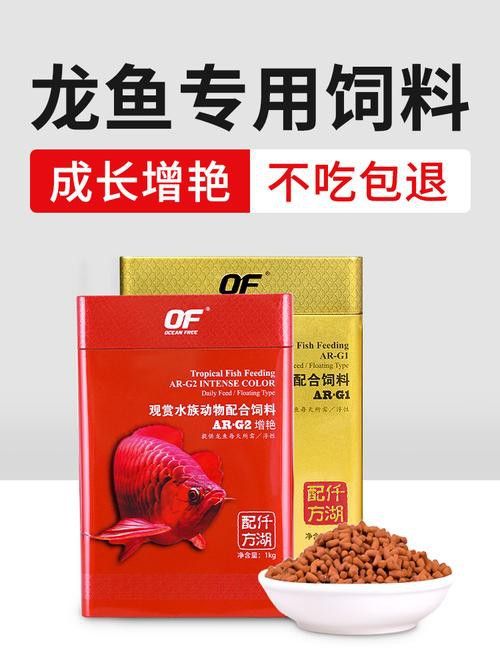 紅色銀龍魚價格多少錢一只圖片