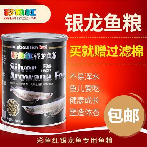 紅色銀龍魚價格多少錢一只圖片