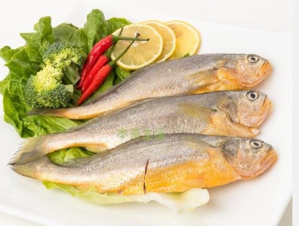 黃花魚跟金龍魚一樣嗎
