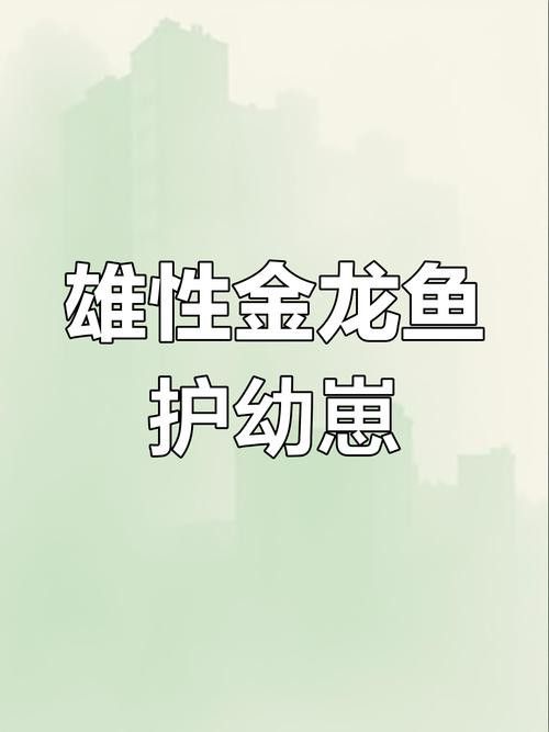 過背金龍魚成長過程圖片