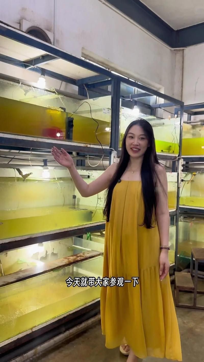 過背金龍魚成長過程圖片