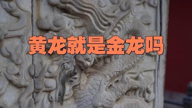 黃龍和金龍哪個更有價值？