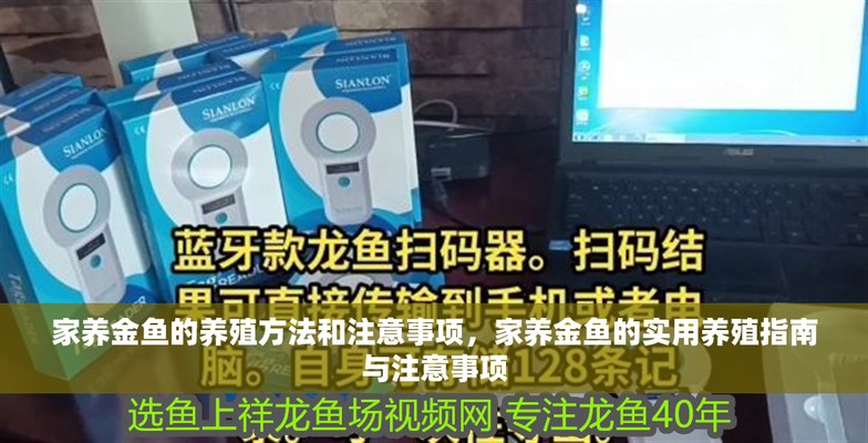 十大品牌龍魚