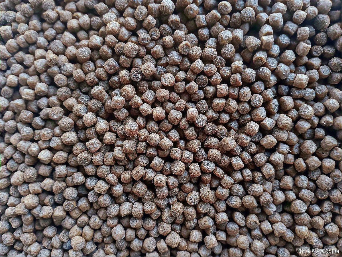 如何判斷金龍魚飼料是否優質？