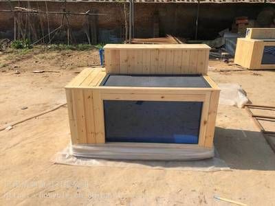 地缸養龍魚的好處和壞處有哪些（地缸養龍魚有什么優缺點）