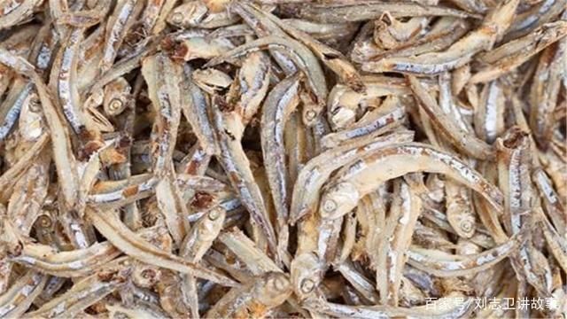 銀鼓魚苗早期發(fā)育期管理：如何有效的進行銀鼓魚苗的早期發(fā)育期管理