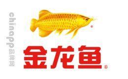 金龍魚十大名牌排行榜